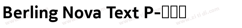Berling Nova Text P字体转换 Berling Nova Text P字体转换